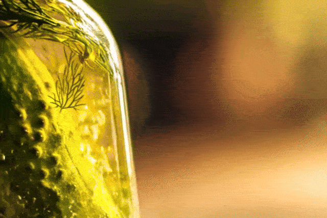Close-up of a pickle and dill in brine inside a glass jar